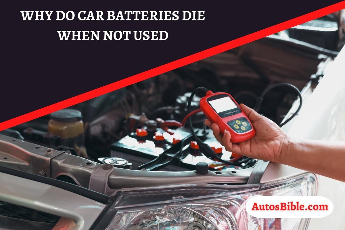 Why Do Car Batteries Die When Not Used